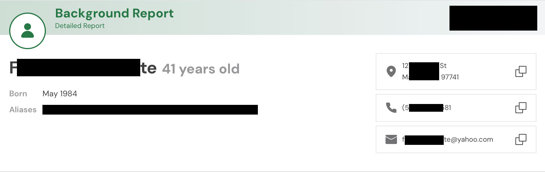 Personal profile report example